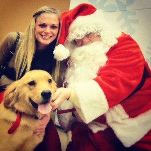 Christmas, Santa, Dog