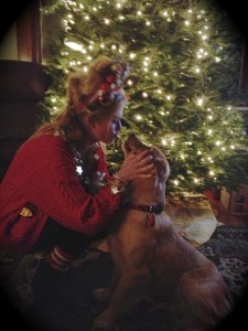 Christmas Tree, Dog, Golden retriever 