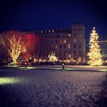 Second Month in Iceland by the Numbers