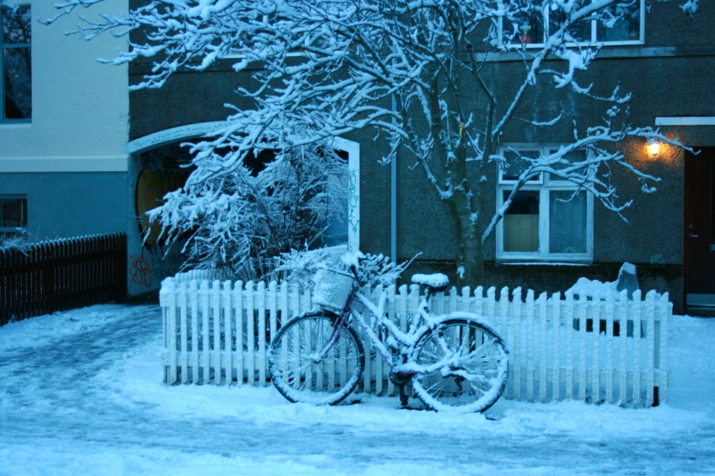 Iceland Snow Day