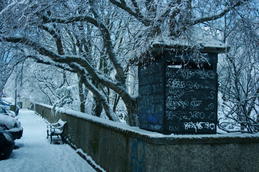 Iceland Snow Day