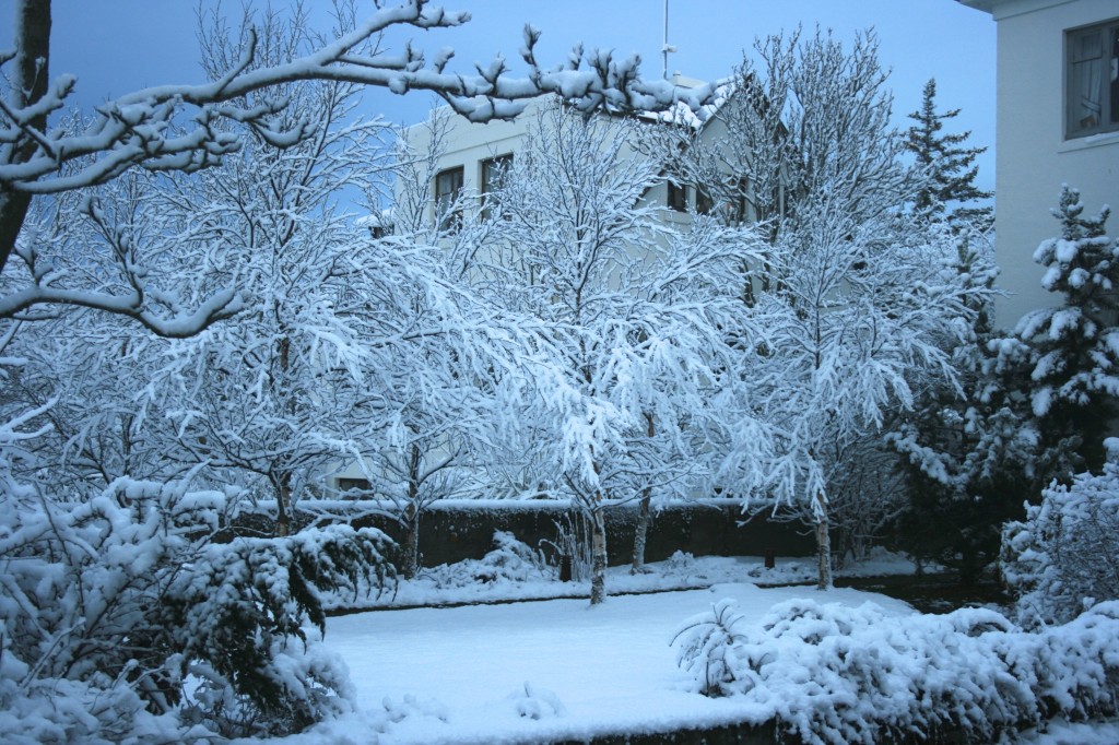 Iceland Snow Day