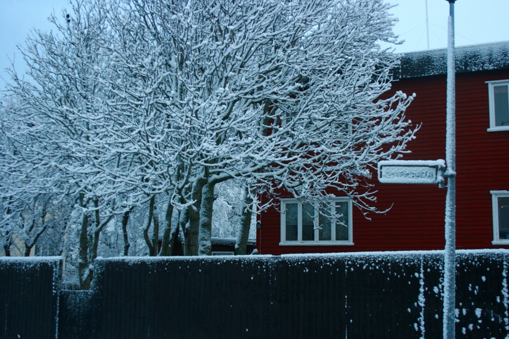 Iceland Snow Day