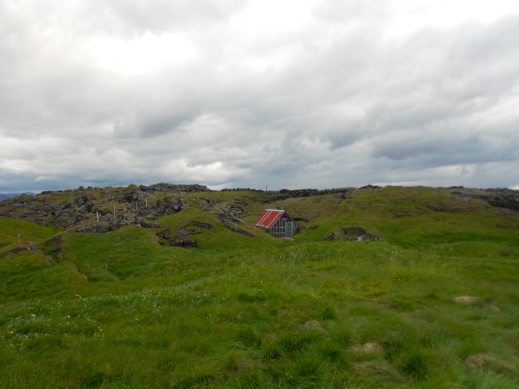 Summer Home in Iceland