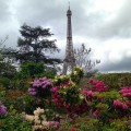 Paris in the Springtime