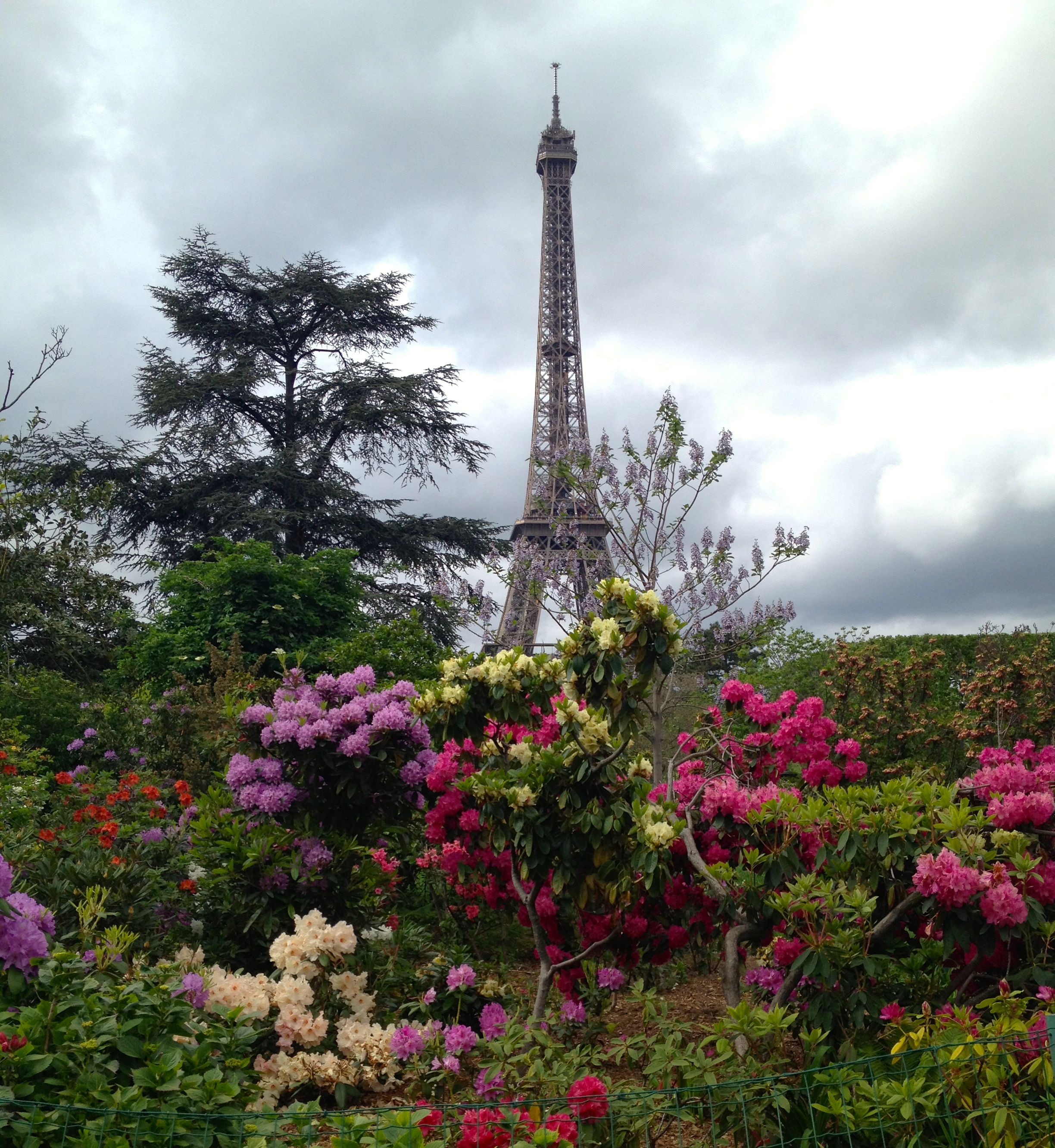 Paris in the Springtime