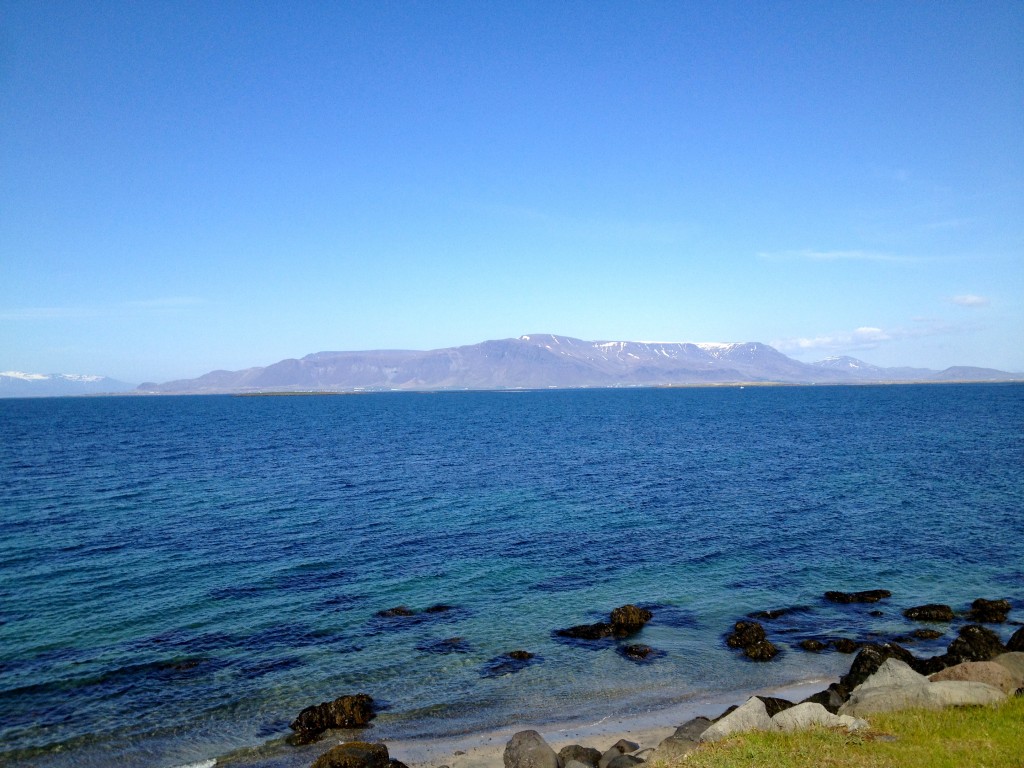 Reykjavik Views