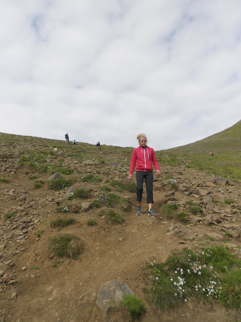 Esjan, Reykavik, Iceland