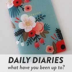 Daily Diaries with Diaries of an Essex Girl