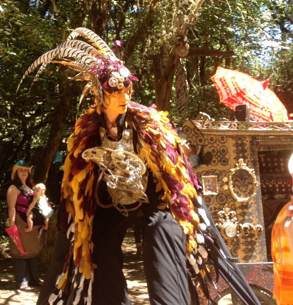 Oregon Country Fair Costumes