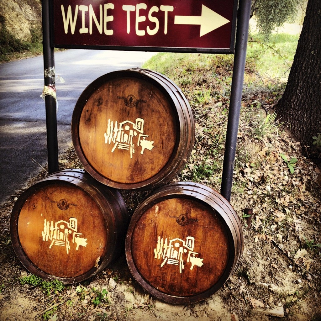 Siena_Wine_Tasting