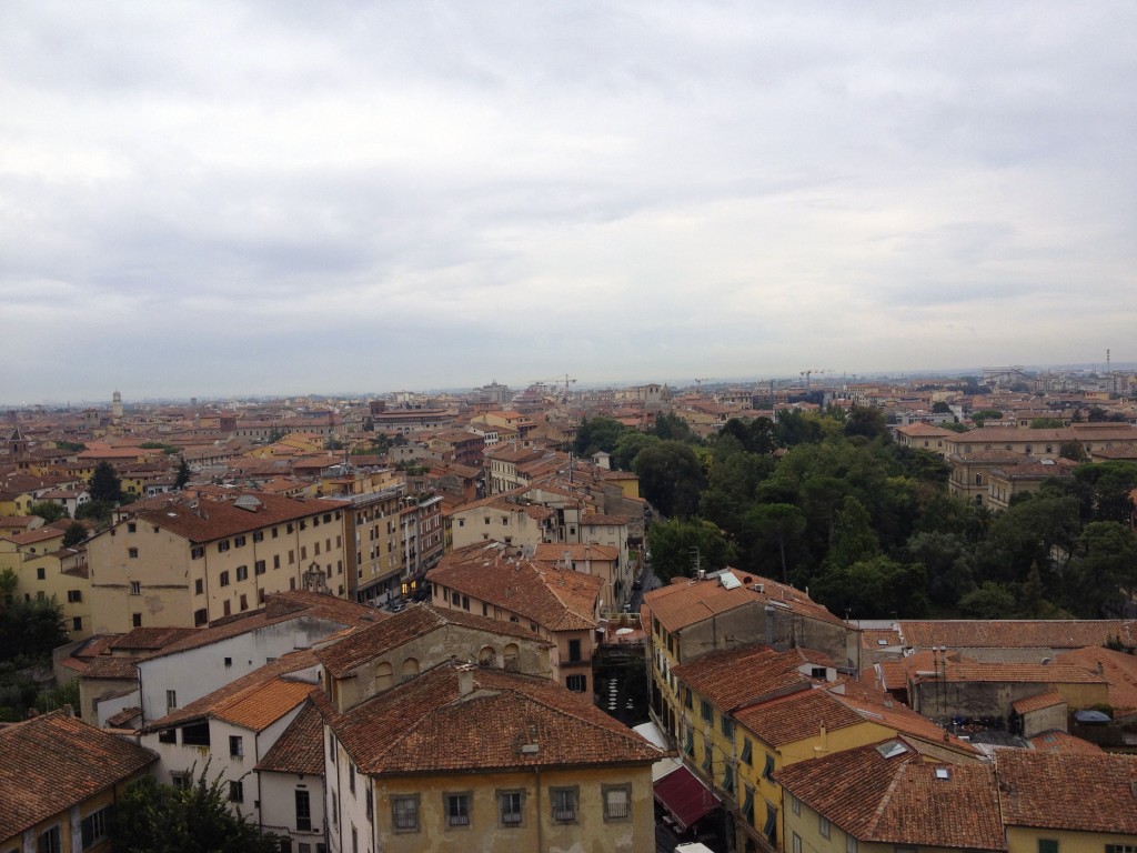 Pisa