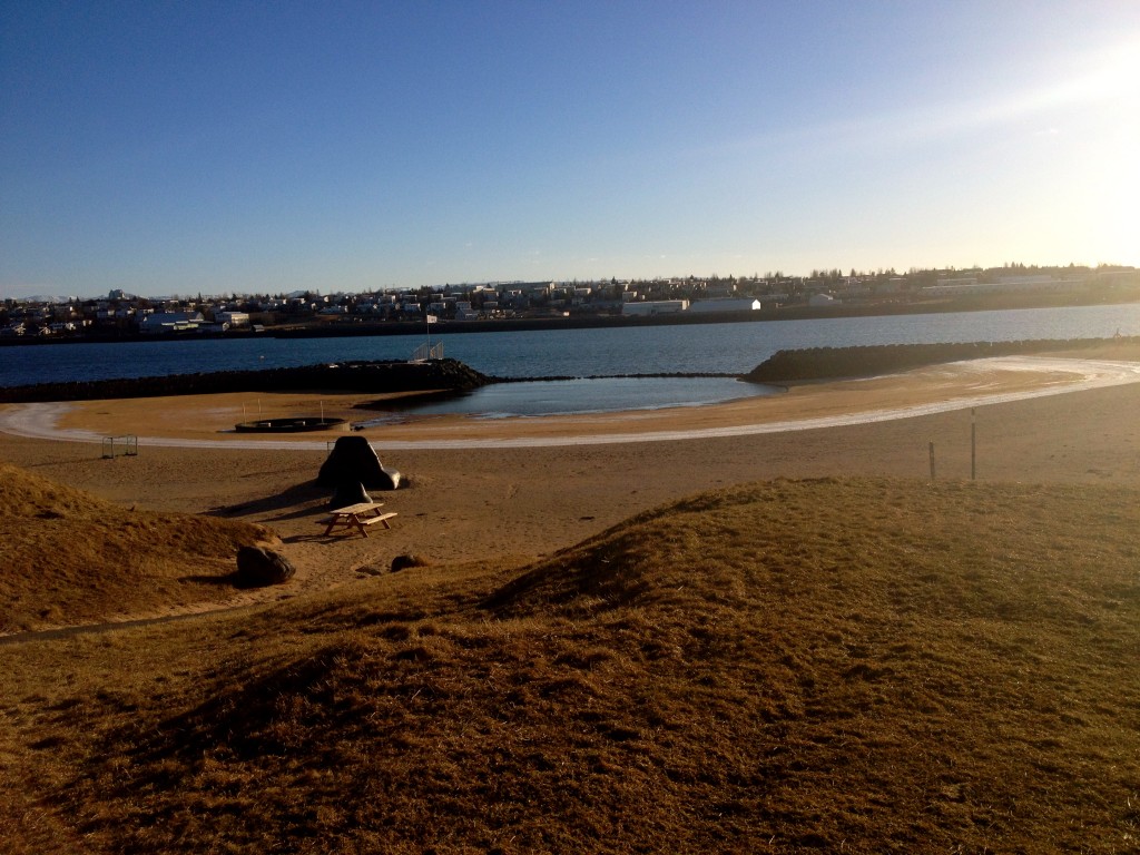 Beach in Iceland 