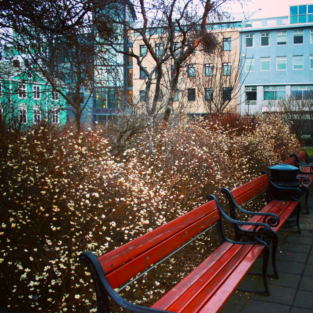 Spring is in the Air