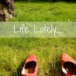 School’s Out For Summer! 