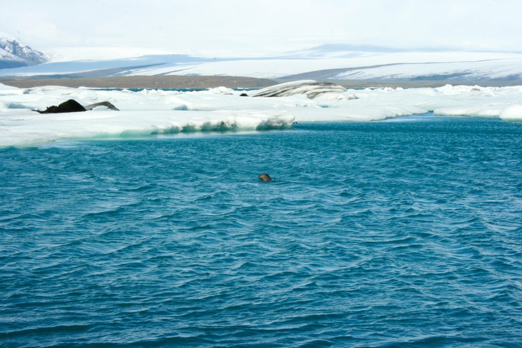 Glacier Lagoon