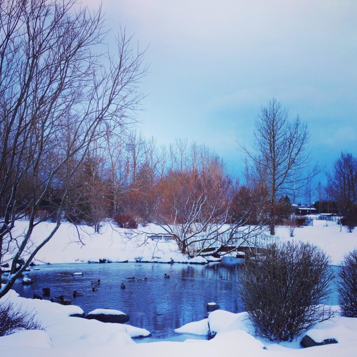 Reykjavik Botanical Garden