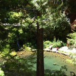 Choosing the Scenic Route