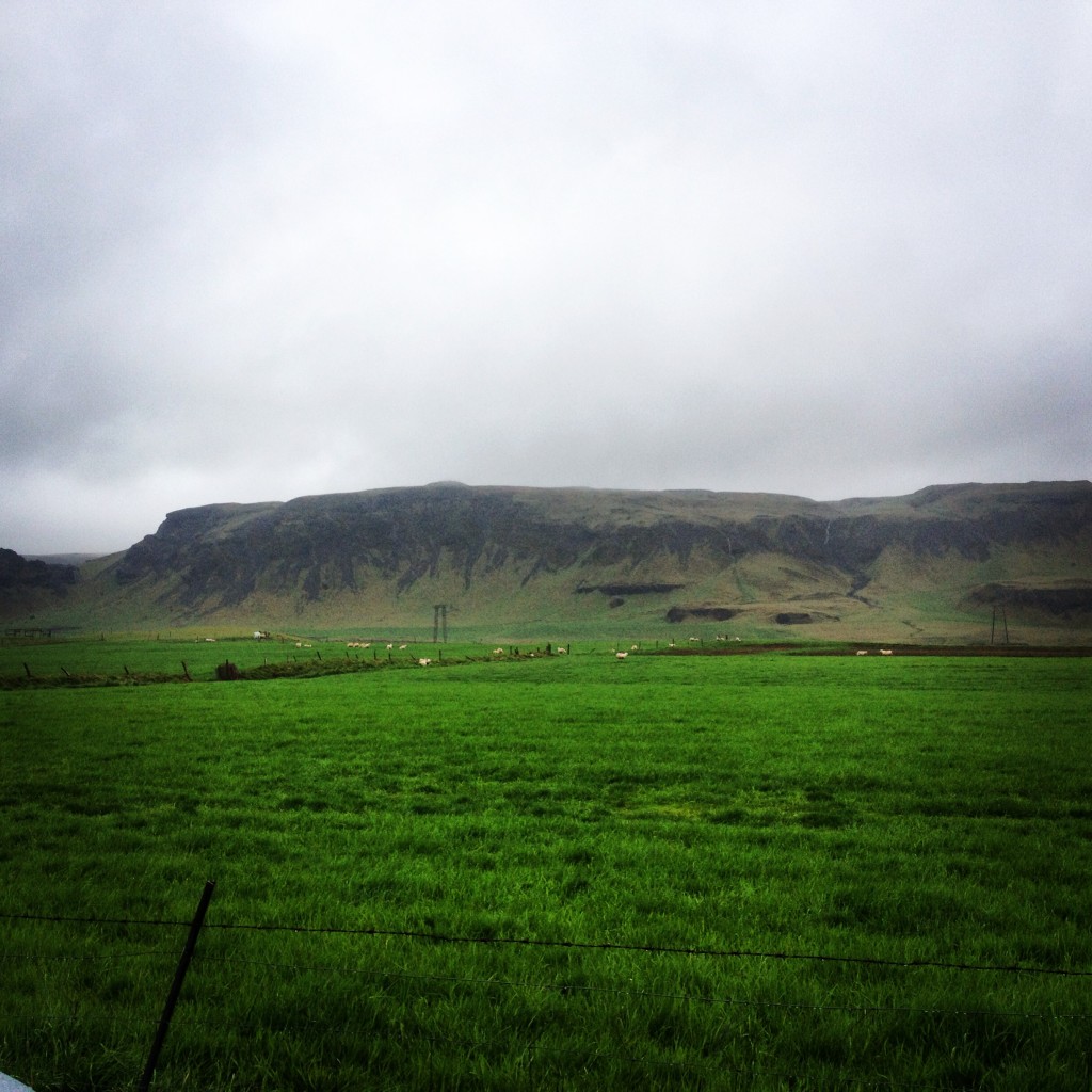Iceland Countryside