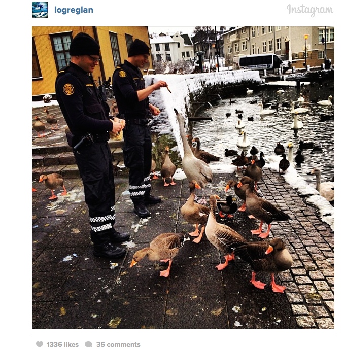 Iceland Police Force