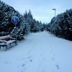 Just Another Day in Paradise