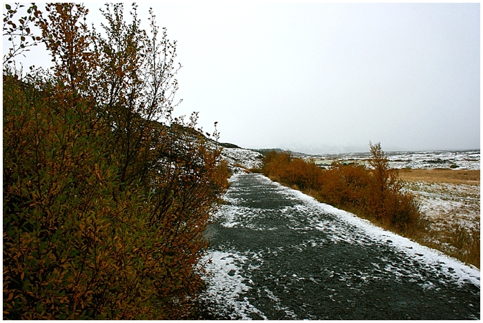 thingvellir_0024
