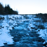 An Interview With The Viking