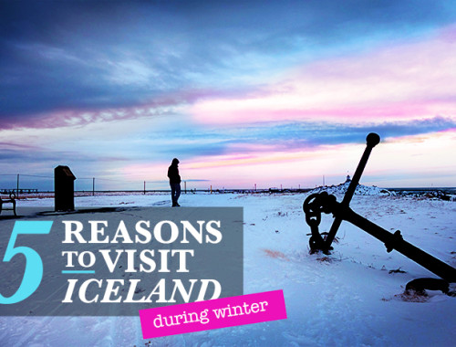 5 Reasons to Visit Iceland in the Winter