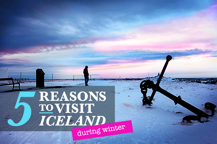 5 Reasons to Visit Iceland in the Winter