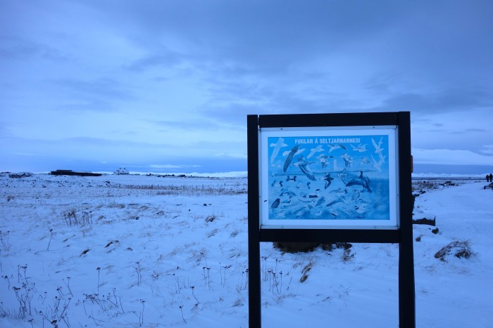 Grotta Lighthouse, Iceland