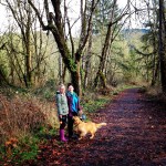 15th Month in Iceland By The Numbers