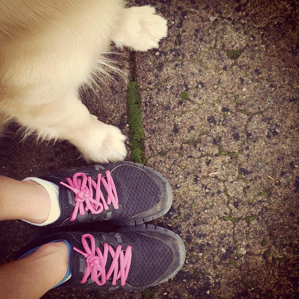 Azora Running buddy