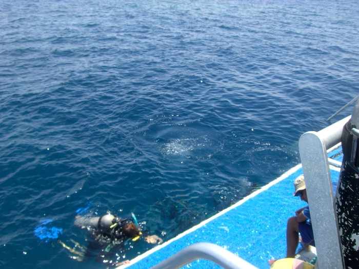 Scuba Diving in Australia