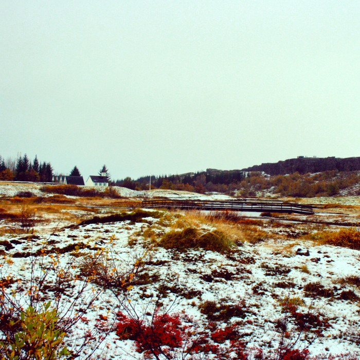 Thingvellir, Iceland 