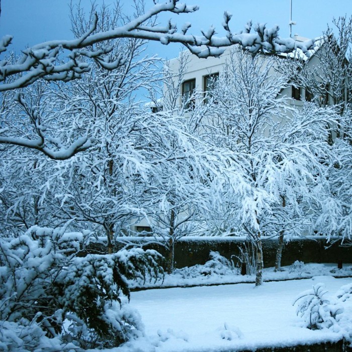 I never thought I would say this but I wanthellip