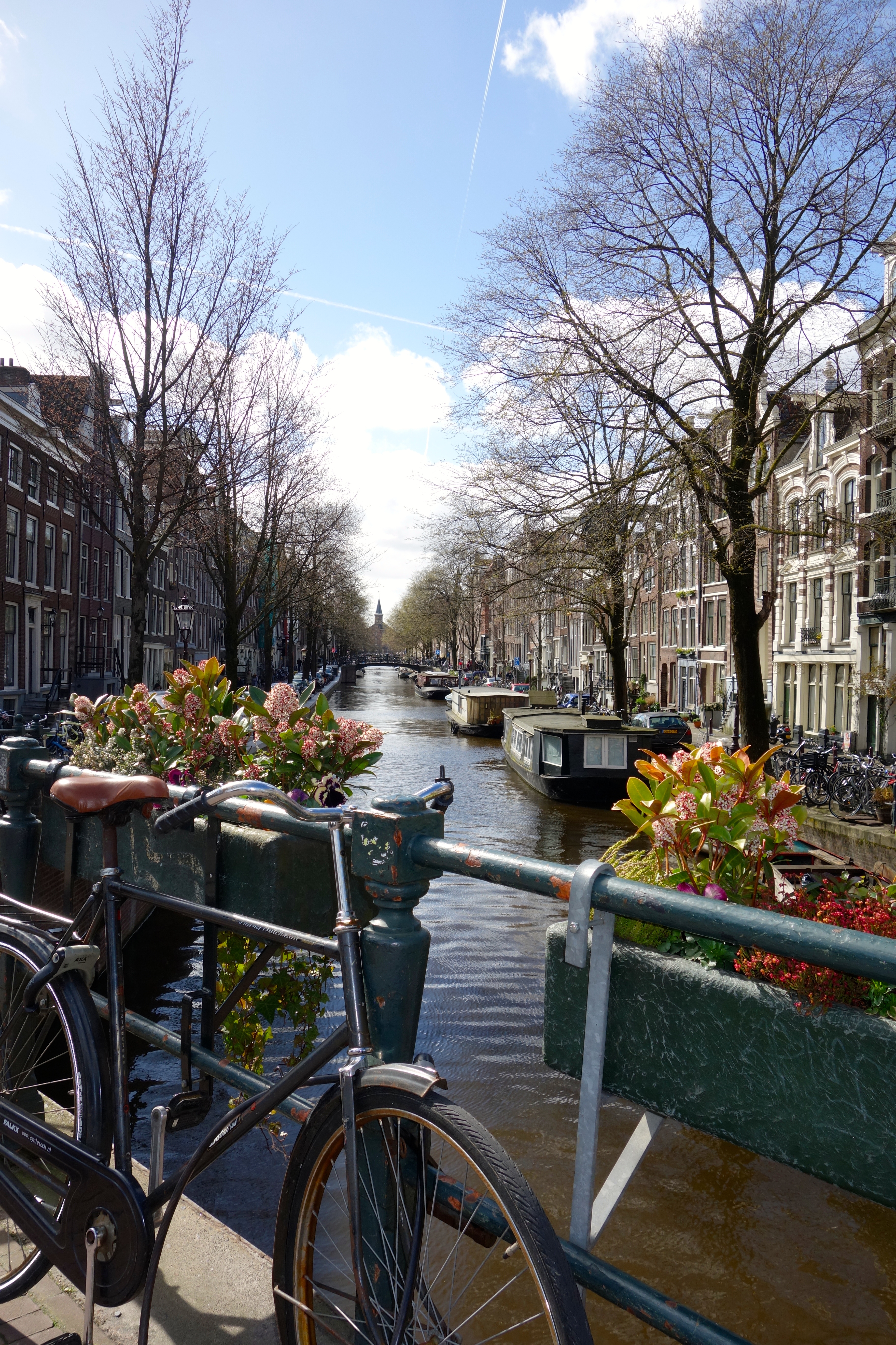 Amsterdam Canals