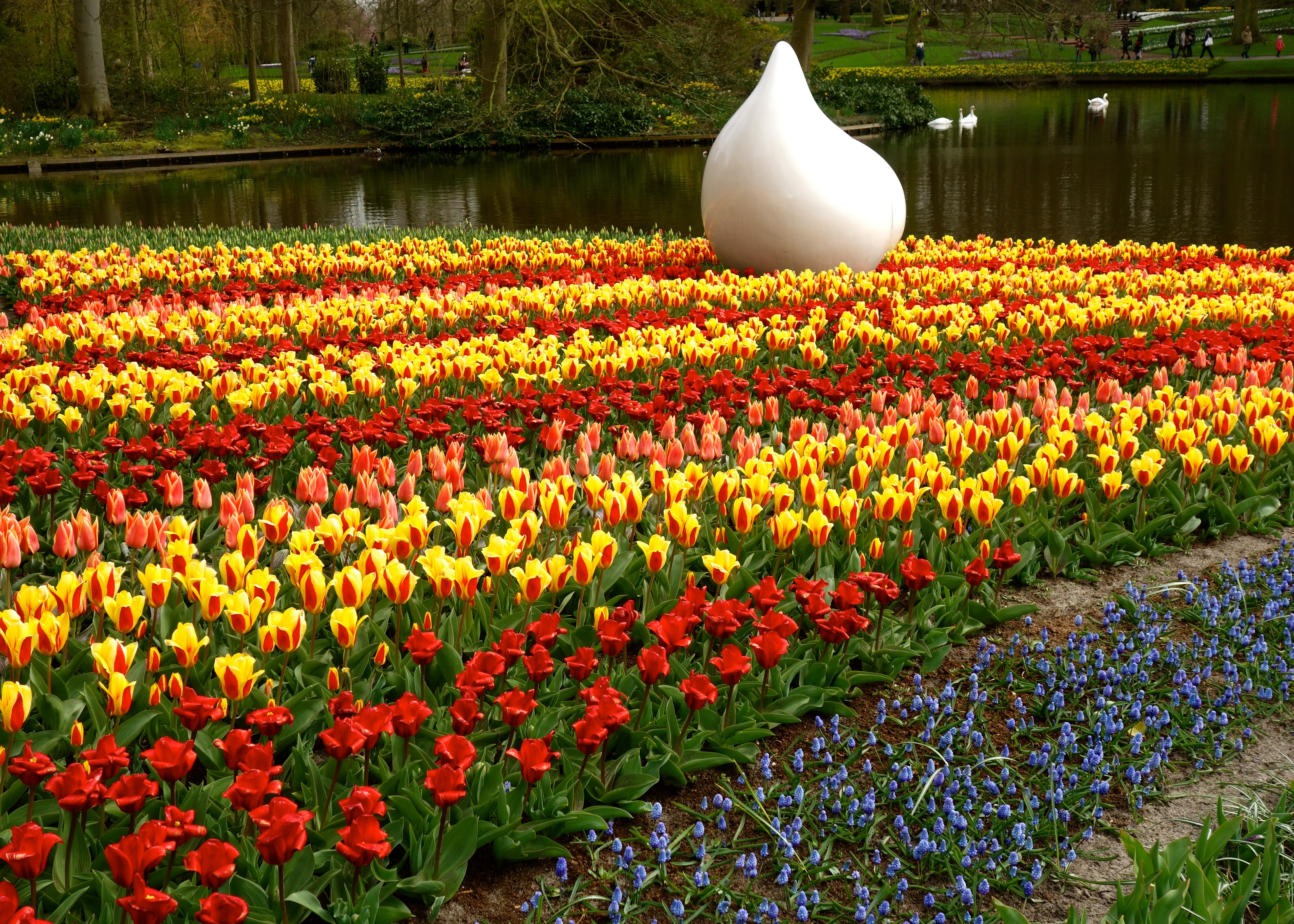 Amsterdam Tulip Fields
