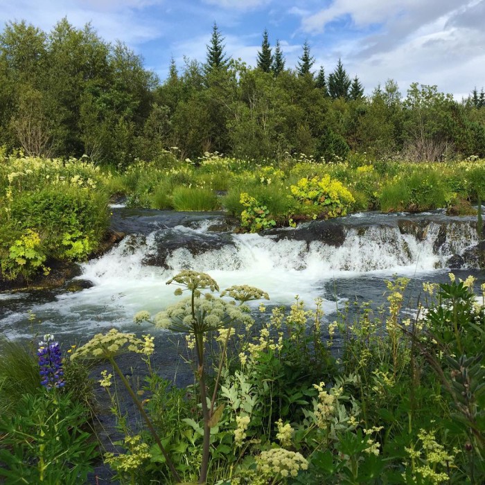 With less than three months until the NYC marathon traininghellip