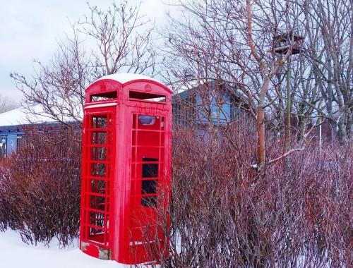 Reykjavik Botanical Gardens