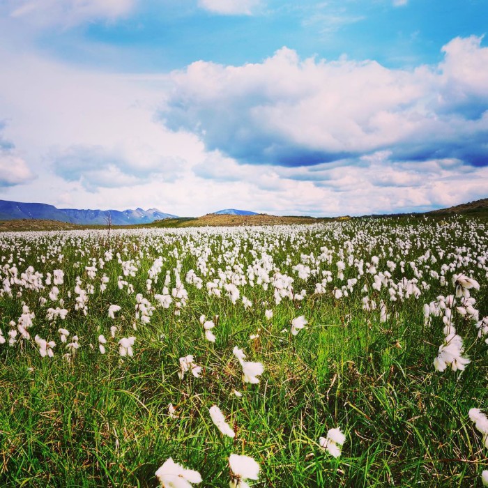The constant wind and rain this past week has lethellip