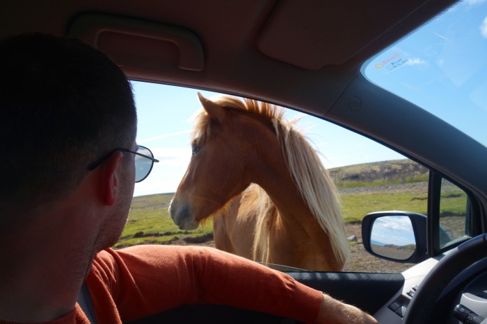 Snæfellsnes Peninsula 
