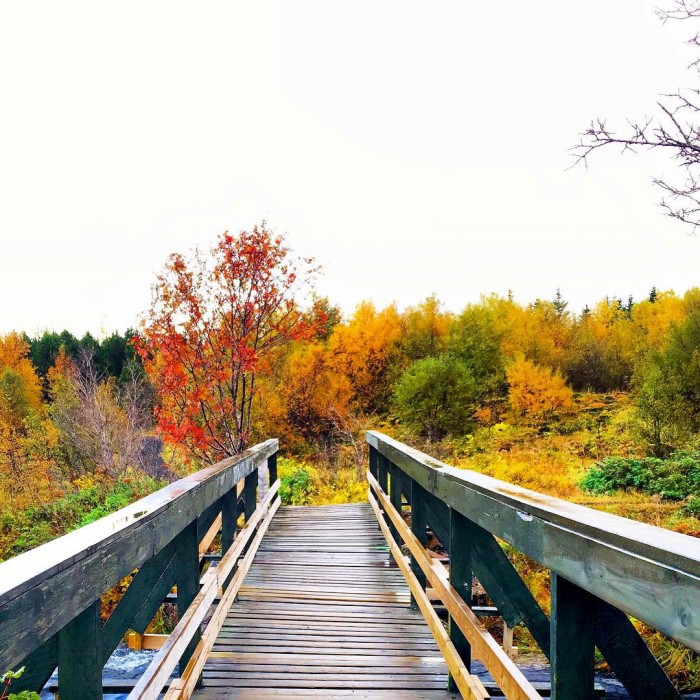 One last fall evening walk before the cold hits Itshellip