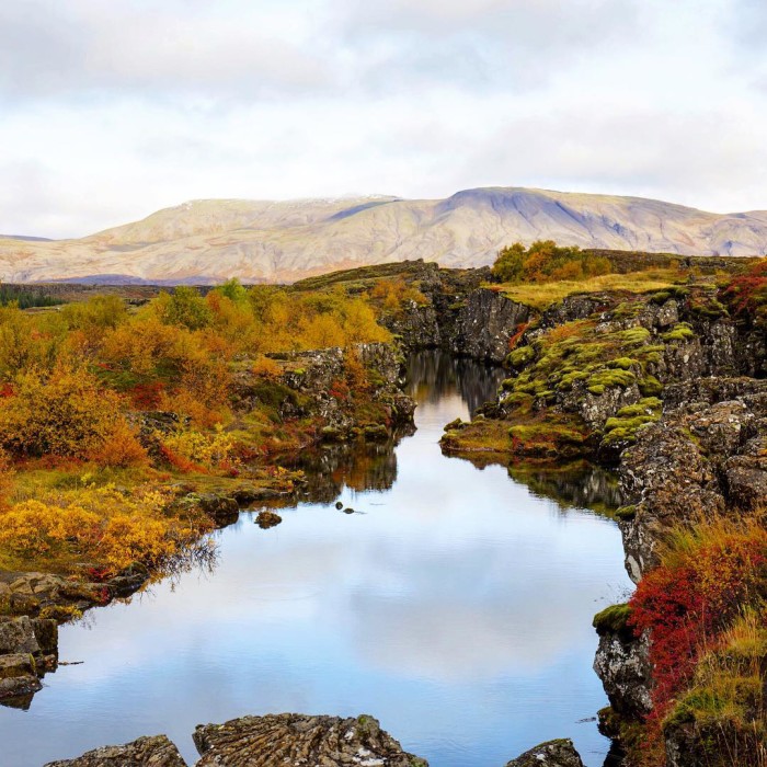 Im just going to leave this here for all ofhellip