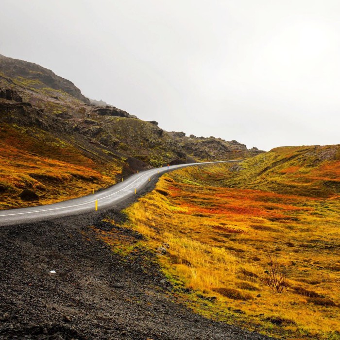 You never know what you will find around the cornerhellip