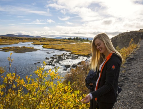 Thingvellir, Iceland