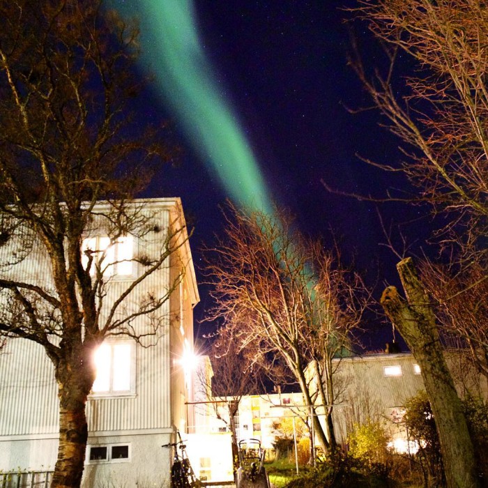 Backyard views lifeiniceland