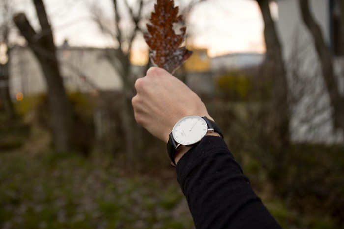 Daniel Wellington Watches