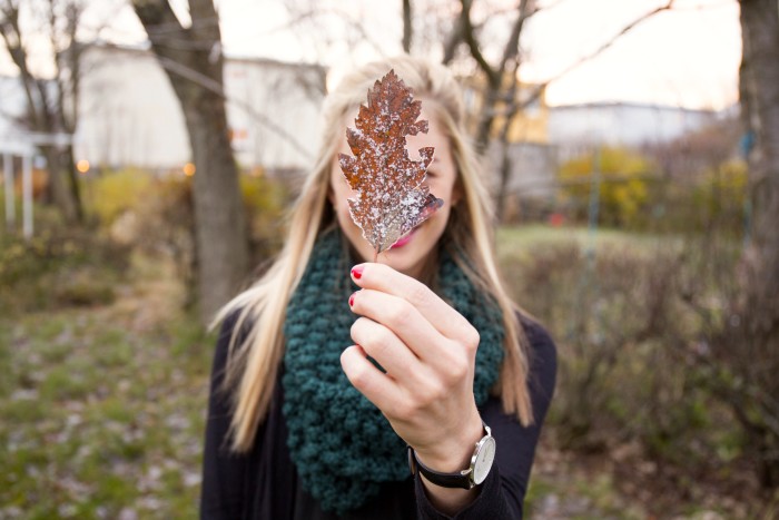 Daniel Wellington Watches