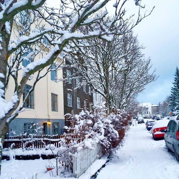 Yay the snow is back! The grey days are sohellip