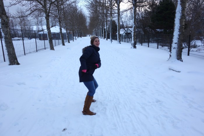 Reykjavik Botanical Garden